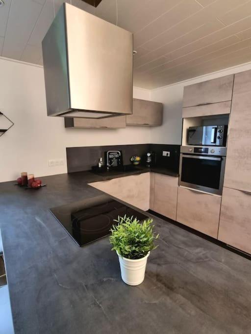 Appartement Chaleureux 80M2 Orbey Exteriör bild